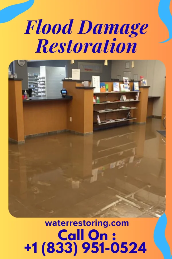 Flood Damage Restoration in Bloomfield, KY
