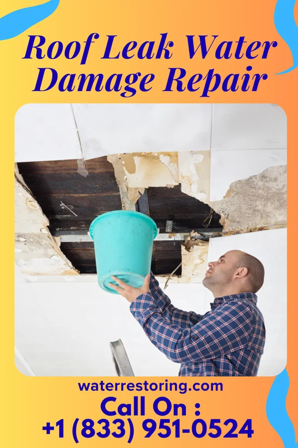 Roof Leak Water Damage Repair in Bloomfield, KY